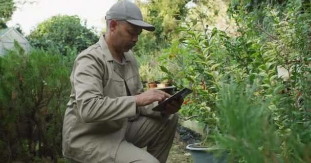 Gemengde Ras Mannelijke Tuinman Met Behulp Van Tablet Het Tuincentrum — Stockvideo