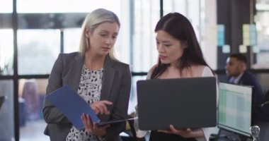 İki farklı iş kadını birlikte tartışıyor ve masada dizüstü bilgisayar kullanıyor. Bağımsız bir yaratıcı şirkette çalışmak.