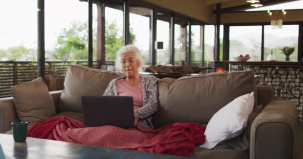 Üst Düzey Melez Kadın Koltukta Oturup Bilgisayarla Video Görüşmesi Yapıyor — Stok video