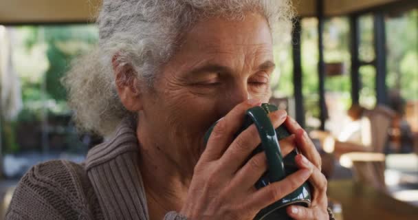 高级混血女子举杯喝酒的画像 退休和老年生活方式 独自呆在家里 — 图库视频影像