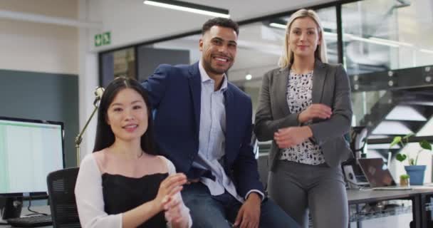 Portret Van Een Groep Verschillende Zakenmensen Met Gekruiste Armen Die — Stockvideo