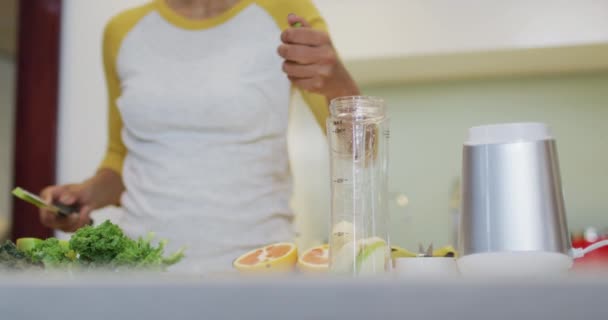 Mulher Raça Mista Preparando Bebida Saudável Cortando Frutas Legumes Cozinha — Vídeo de Stock