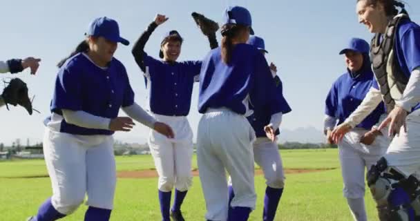 試合後の女性野球選手の幸せな多様なチームは 1人の選手を持ち上げる 女子野球チームスポーツトレーニングゲーム戦術 — ストック動画