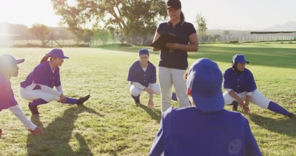 Különböző Női Baseball Játékosok Edző Bemelegítés Pályán Guggolás Nyújtózkodó Lábak — Stock videók