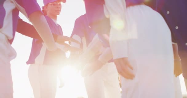 Groupe Diversifié Joueuses Baseball Sur Terrain Ensoleillé Dans Câlin Empilant — Video