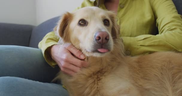 Donna Caucasica Sorridente Seduta Sul Divano Con Cane Vita Domestica — Video Stock