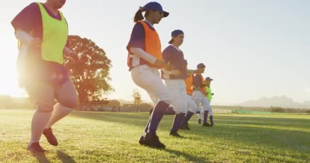 Diverso Grupo Jogadoras Beisebol Exercitando Campo Correndo Tocando Chão Time — Vídeo de Stock