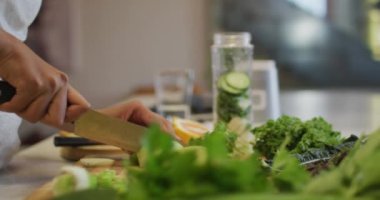 Sağlıklı içecek hazırlayan, meyve ve sebze kesen melez bir kadın. ev hayatı, kaliteli boş zaman geçirmek evde dinlenmek..