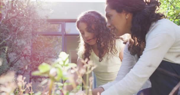 Gemengde Race Moeder Dochter Tuinieren Zonnige Tuin Planten Water Geven — Stockvideo