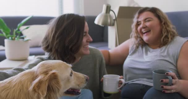 Blank Gelukkig Lesbisch Paar Drinken Thee Zitten Vloer Strelen Hond — Stockvideo