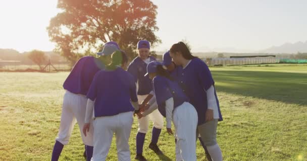 Női Baseball Játékosok Változatos Csoportja Napfényes Pályán Összebújva Egymásra Rakott — Stock videók