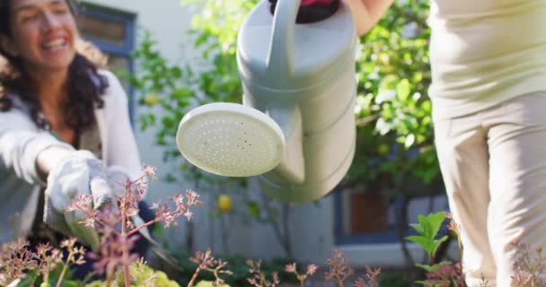Razza Mista Madre Figlia Giardinaggio Giardino Soleggiato Irrigazione Piante Vita — Video Stock