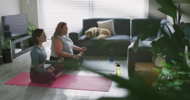 白人レズビアンのカップルはヨガマットにフィットし 瞑想を維持します 家庭でリラックスしながら自由な時間を過ごす国内生活 — ストック動画
