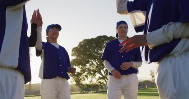 Різноманітна Група Гравців Бейсбол Сонячному Полі Роблячи Перерву Щоб Говорити — стокове відео