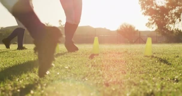 Разнообразная Группа Женщин Бейсболистов Тренирующихся Солнечном Поле Бегающих Между Конусами — стоковое видео