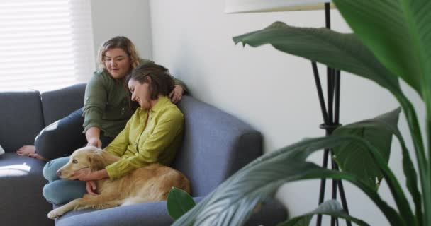 白人レズビアンのカップルは笑顔で 犬とソファに座っています 家庭でリラックスしながら自由な時間を過ごす国内生活 — ストック動画