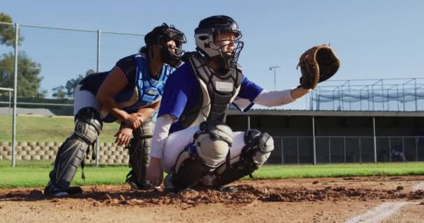Sokszínű Női Baseball Játékosok Akció Közben Dobott Labdát Fogott Elkapó — Stock videók