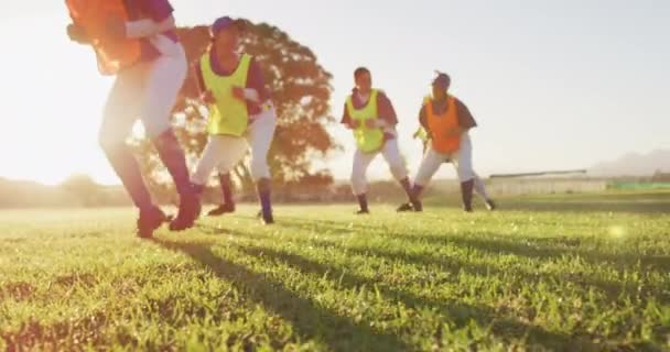 Grupo Diverso Jogadoras Beisebol Exercitando Campo Correndo Lado Uma Fileira — Vídeo de Stock