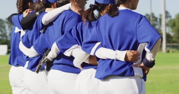 Szczęśliwy Zróżnicowany Zespół Kobiet Bejsbolistów Stojących Boisku Ramionami Wokół Siebie — Wideo stockowe