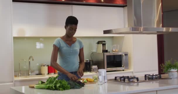 Afro Amerikan Çekici Kadın Mutfakta Meyve Püresi Için Sebze Doğruyor — Stok video