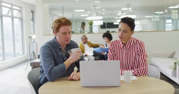 Groupe Diversifié Collègues Affaires Masculins Féminins Travaillant Dans Bureau Affaires — Video