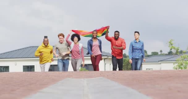 Grupo Feliz Diversos Manifestantes Masculinos Femininos Caminhando Com Bandeira Arco — Vídeo de Stock