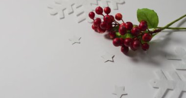 Kırmızı böğürtlenli yılbaşı filizinin videosu, kar tanesi desenleri ve beyaz arka planda kopyalama alanı. Noel, gelenek ve kutlama konsepti.