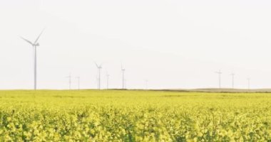 Bulutsuz gökyüzü olan kırsal alandaki rüzgar türbinlerinin genel görüntüsü. çevre, sürdürülebilirlik, ekoloji, yenilenebilir enerji, küresel ısınma ve iklim değişikliği farkındalığı.