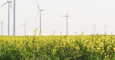 Bulutsuz gökyüzü olan kırsal alandaki rüzgar türbinlerinin genel görüntüsü. çevre, sürdürülebilirlik, ekoloji, yenilenebilir enerji, küresel ısınma ve iklim değişikliği farkındalığı.