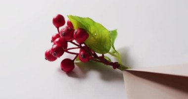 Noel süslemelerinin beyaz arka planda çobanpüslü kırmızı böğürtlen ve zarflı videosu. Noel, gelenek ve kutlama konsepti.