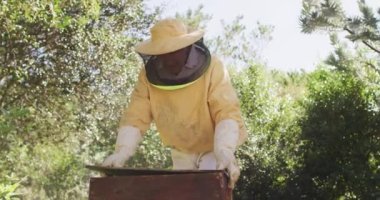 Beyaz erkek arı yetiştiricisi koruyucu giysiler giyip arı kovanını açıyor. Arı ve bal üretimi, küçük tarım işi ve hobi.