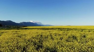 Bulutsuz gökyüzü ile kırsal manzaranın genel görünümü. çevre, sürdürülebilirlik, ekoloji, yenilenebilir enerji, küresel ısınma ve iklim değişikliği farkındalığı.