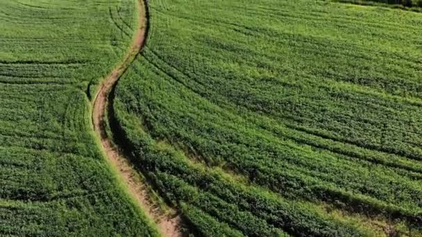 Vista Geral Paisagem Rural Vista Drone Ambiente Sustentabilidade Ecologia Energias — Vídeo de Stock