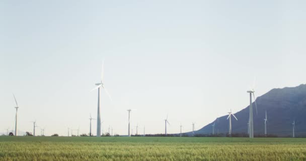 Ogólny Widok Turbin Wiatrowych Krajobrazie Wsi Bezchmurnym Niebem Środowisko Zrównoważony — Wideo stockowe