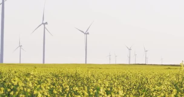 Vista General Las Turbinas Eólicas Paisaje Rural Con Cielo Despejado — Vídeos de Stock