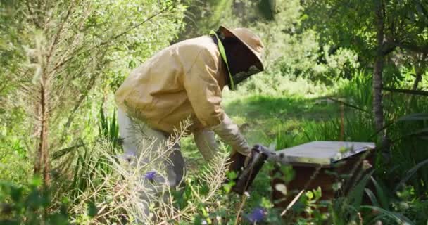 Kaukasische Mannelijke Imker Beschermende Kleding Die Roker Gebruikt Bijen Kalmeren — Stockvideo