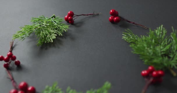 Video vánoční dekorace sprigs s červenými bobulemi a kopírovat prostor na černém pozadí. vánoční, tradice a koncepce oslav.