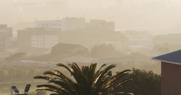 Allmän Bild Stadsbilden Med Flera Byggnader Byggarbetsplats Och Palmer Smog — Stockvideo