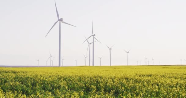 Gesamtansicht Von Windkraftanlagen Der Landschaft Mit Wolkenlosem Himmel Umwelt Nachhaltigkeit — Stockvideo