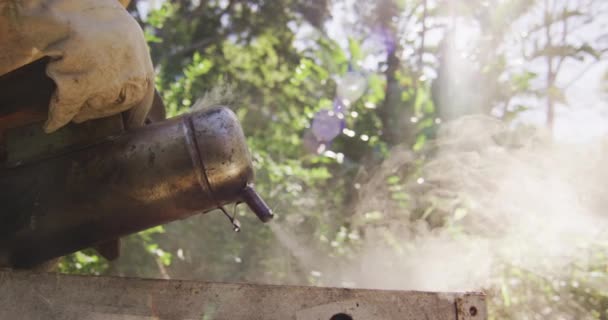 코카서스에 양봉가는 보호용 시키기 흡연자를 이용합니다 양봉원 꿀만드는 소규모 — 비디오