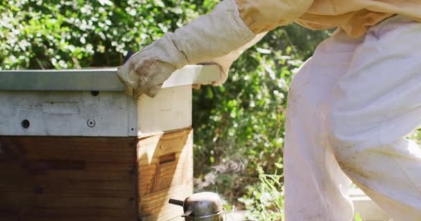 Белый Пчеловод Защитной Одежде Открывает Улей Производство Пасеки Меда Малый — стоковое видео