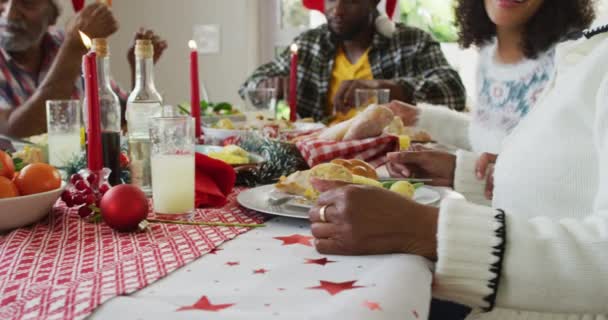 Glad Afrikansk Amerikansk Multi Generation Familj Bär Tomte Hattar Och — Stockvideo