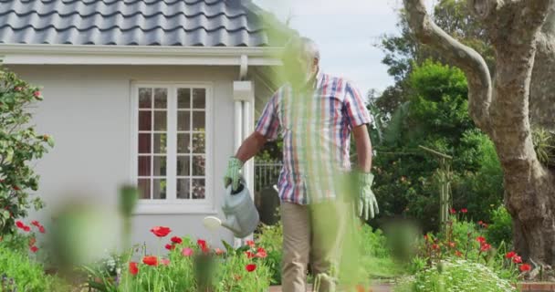 Animación Jardinería Hombre Mayor Afroamericano Regando Flores Estilo Vida Activo — Vídeos de Stock