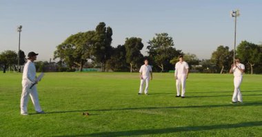 Fırlatmadan önce dönen yarasa, çeşitli erkek takım arkadaşları önce sopayı sonra da çim alanında topu yakalıyor. Spor, takım çalışması, etkinlik, günlük, açık hava, dinlenme, spor