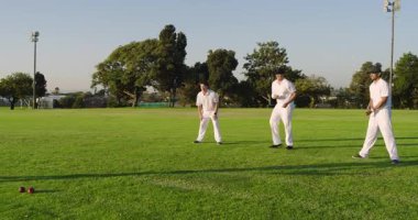 Top havada uçuşuyor, çeşitli erkek takım arkadaşları beyzbol sopası tutmadan önce parkta antrenman yapıyor. Atletizm, takım çalışması, açık hava, sportmenlik, atletizm, eğlence, rekabet