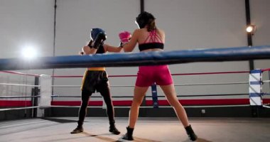 Koçun başlama sinyaline tepki gösteren beyaz bayan boksörler, ringde jimnastik ışıklarının altında hafif yumruklar atıyorlar. Boks, antrenman, spor, spor, yarışma, atletizm