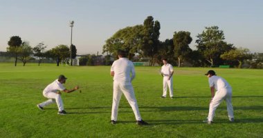 Kriket sahasında top yakalama antrenmanı. Farklı erkek takımları koltuk altı kaseleri üzerine kriket topu atıyor. Atletik, takım çalışması, açık hava, eğlence, motivasyon, eğitim, spor