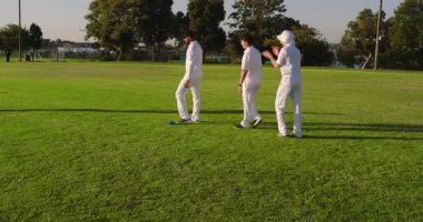 Çim tarlasında mavi koni eşliğinde bovling antrenmanı yapan çeşitli erkek cırcırböceği beşliği. Sporcular, takım çalışması, antrenman, açık hava, spor, fiziksel aktivite, fitness