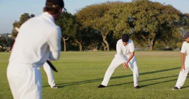 Dalış yapan erkek oyuncu arka kapak ile kriket topunu sahada top atmaktan kurtarıyor. Atletik, takım çalışması, sportmenlik, canlı, aksiyon, açık hava, rekabetçi