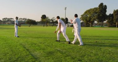 Top yuvarlanıyor, çeşitli erkek takım arkadaşları kaşıklıyor, atlıyor, dalıyor, talimde çim tarlasında vuruş yapıyor. Atletizm, takım çalışması, açık hava, aksiyon, sportmenlik, rekabet, çeviklik